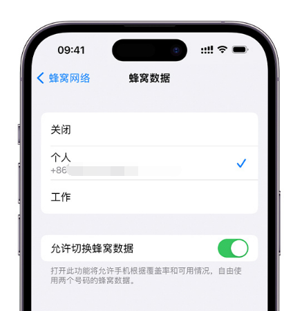 恩施苹果维修服务分享如何在iPhone上使用双卡 